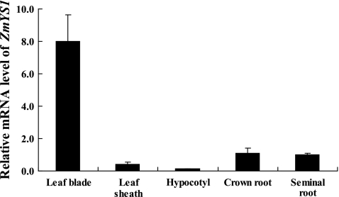 Fig. 2.