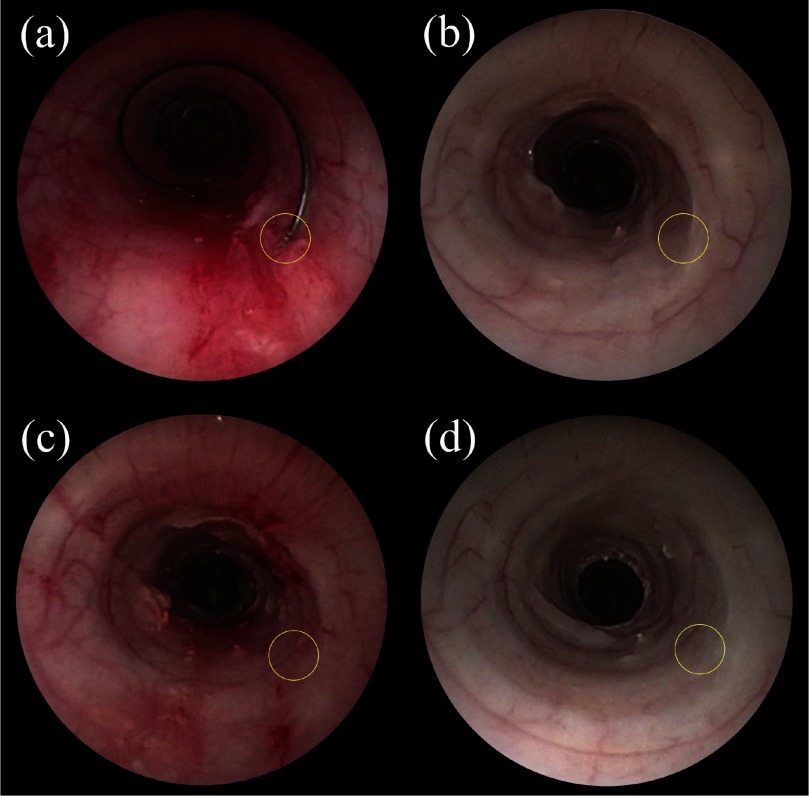 Fig. 13.