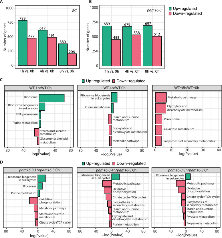 Figure 2—figure supplement 2.