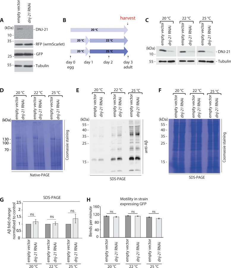 Figure 5—figure supplement 1.