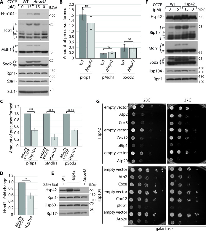 Figure 3—figure supplement 2.