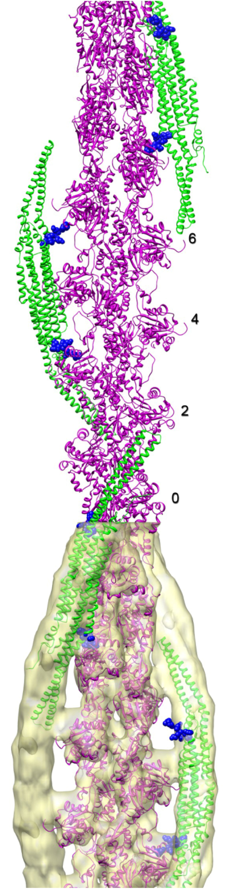 Fig. 4