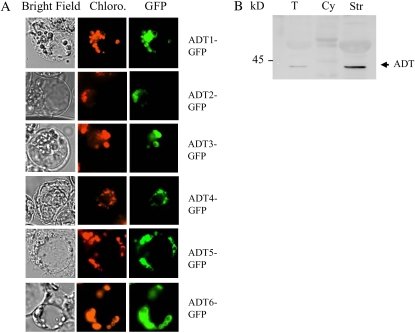 Figure 6.