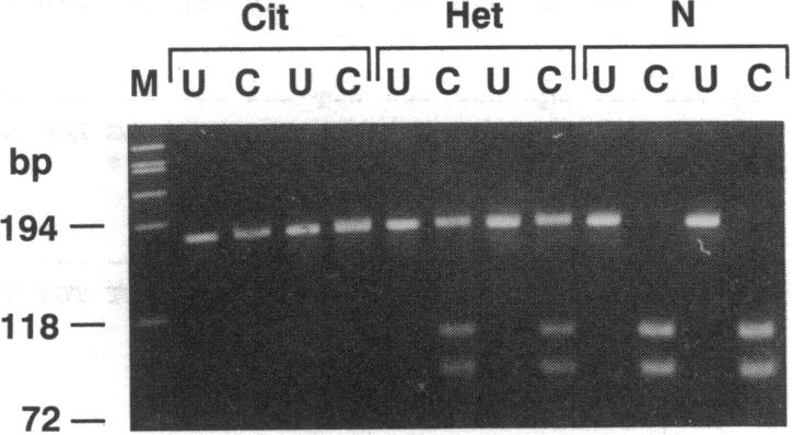 graphic file with name pnas00287-0298-a.jpg