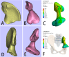 Fig. 8