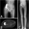 Fig. 5