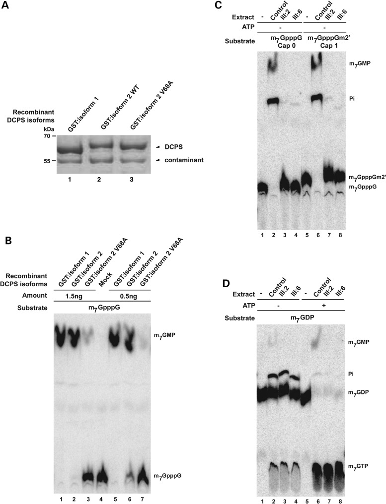 Figure 3.