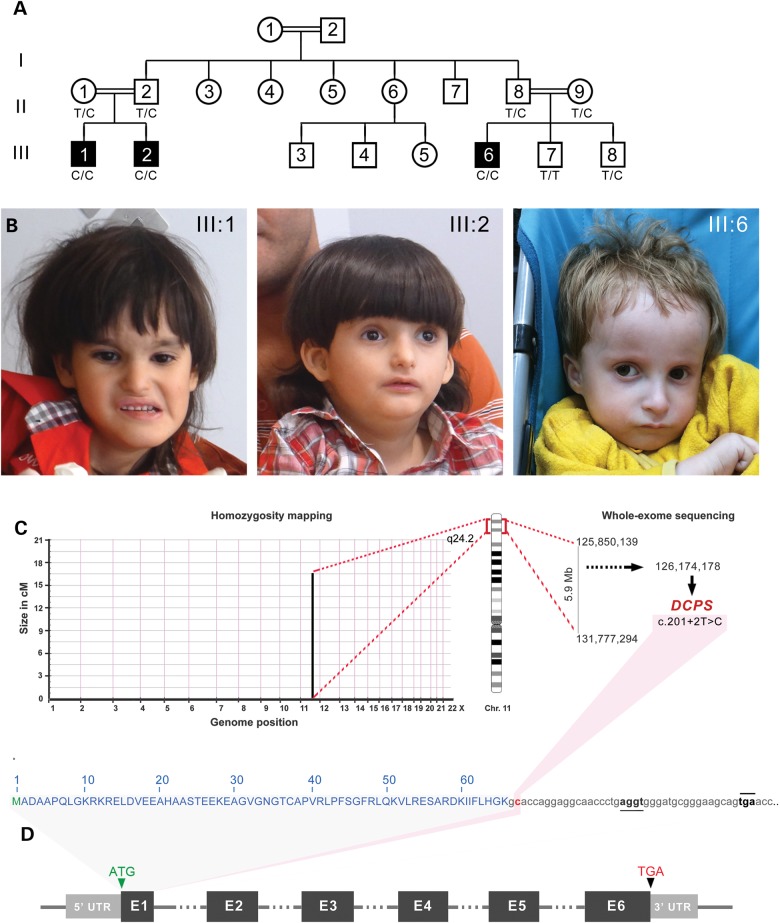 Figure 1.