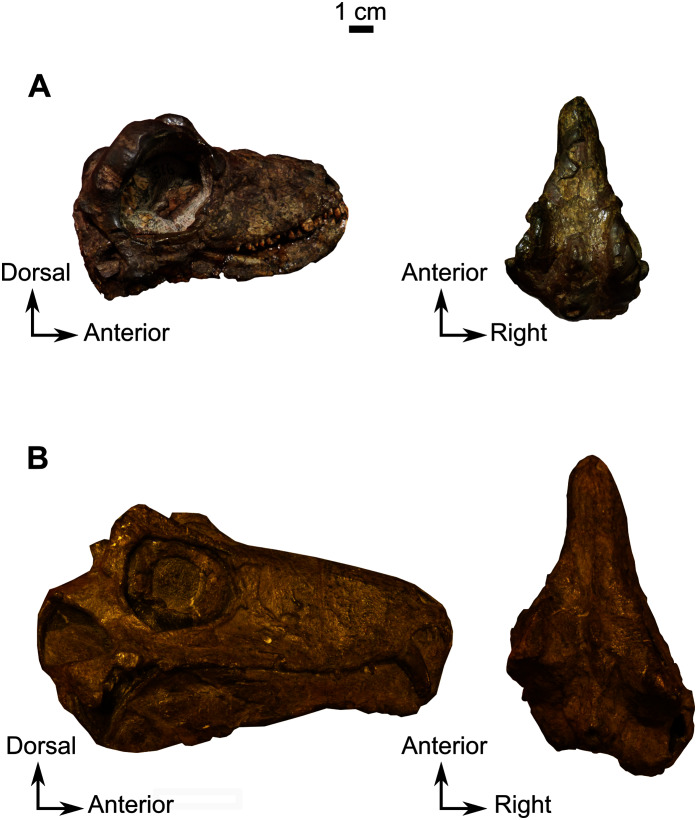 Figure 16