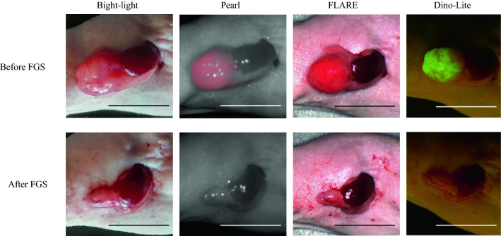 Fig. 4