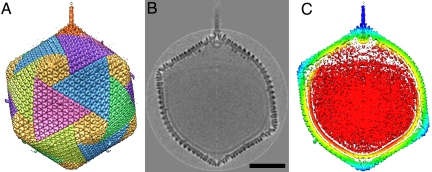 Fig. 1.