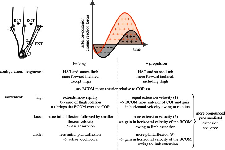 Figure 5.