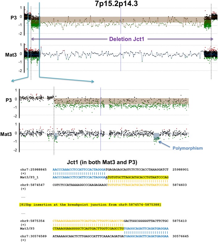 Fig 5