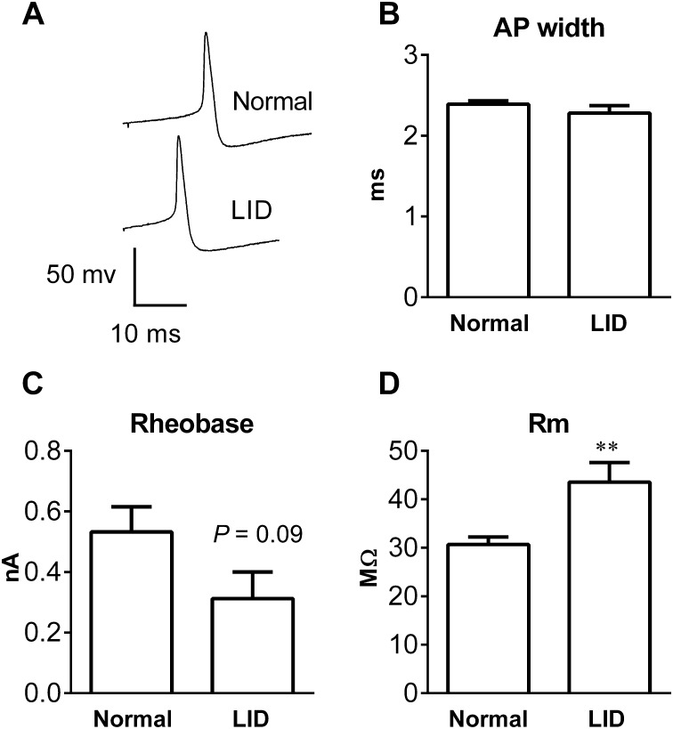 Fig. 3