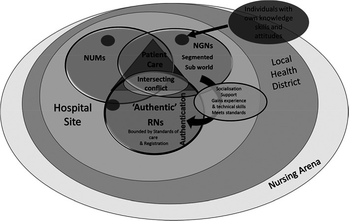 FIGURE 2