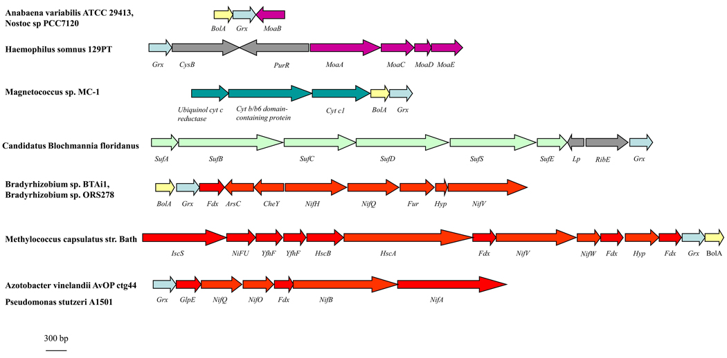 Figure 5