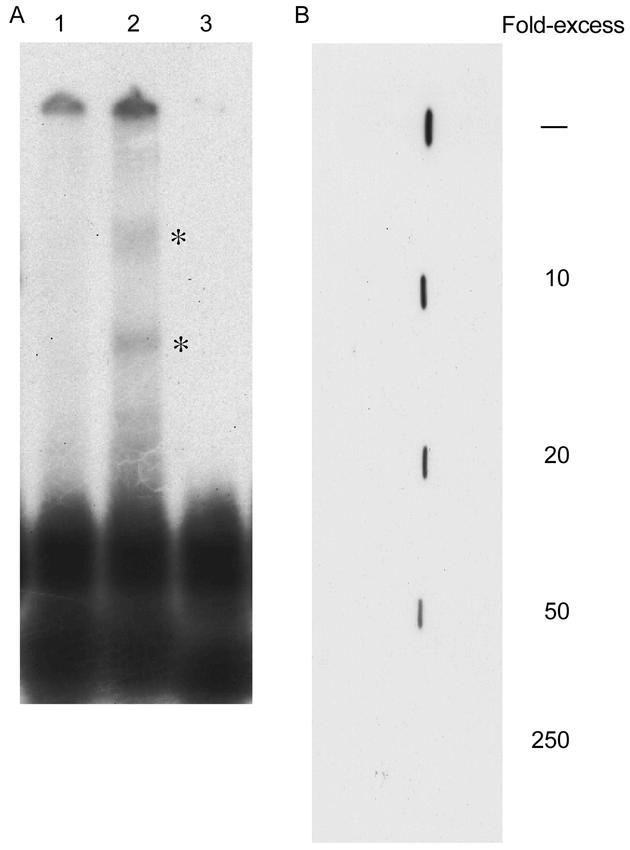 Figure 4. (Above)