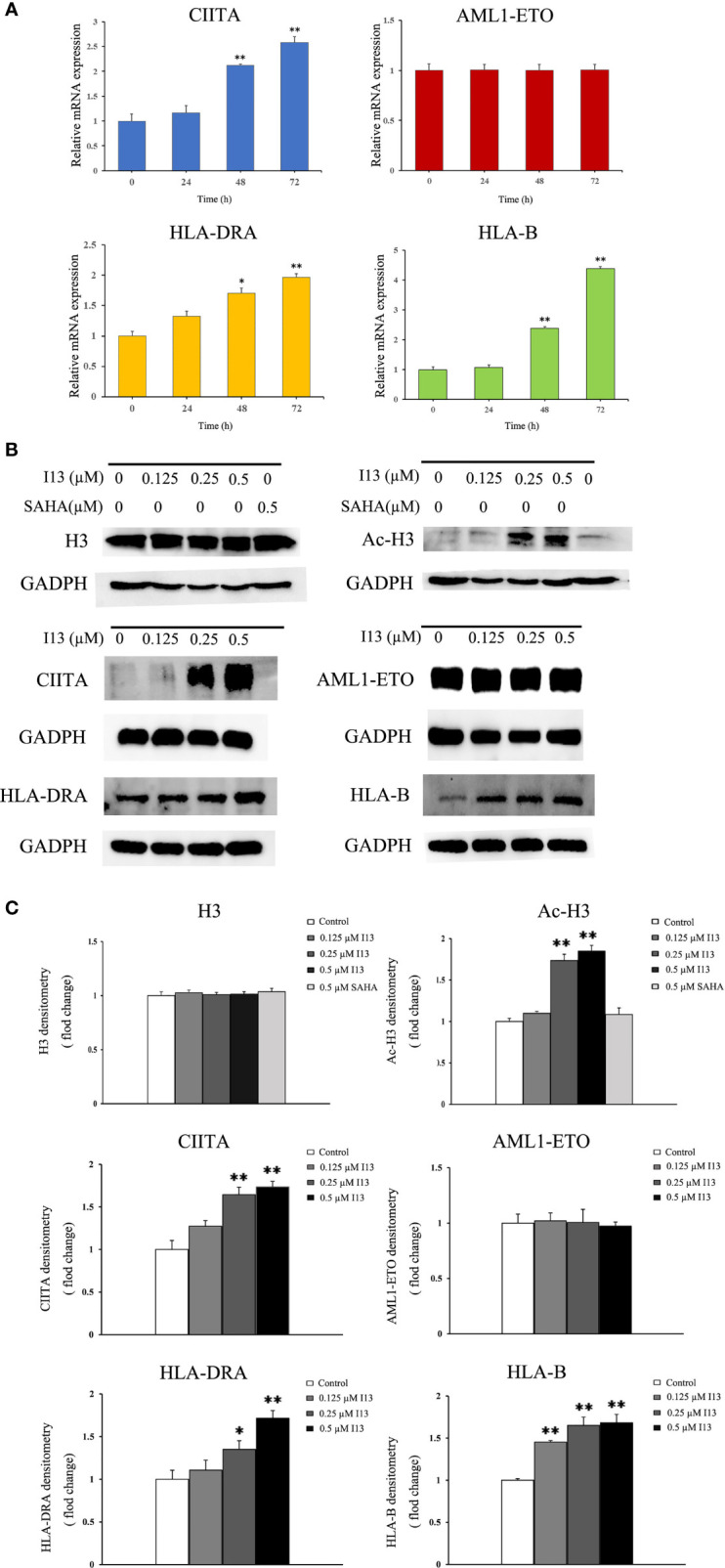 Figure 7