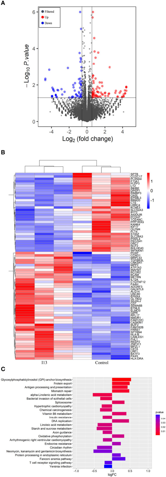 Figure 6