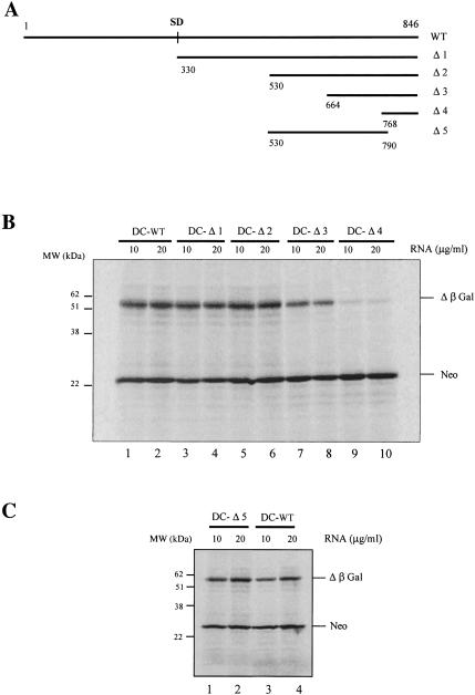 FIGURE 4.