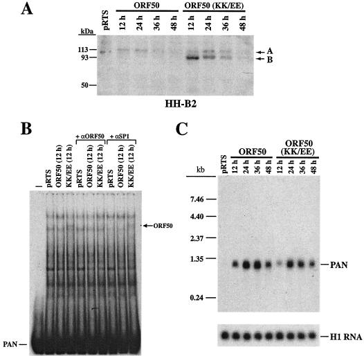 FIG. 12.