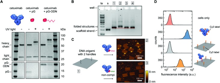 Fig. 2