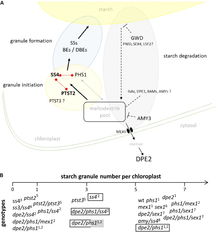 FIGURE 2