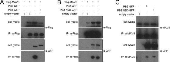 FIG. 4.