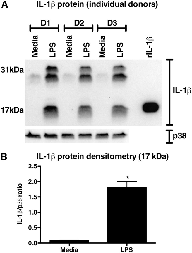 Figure 7.