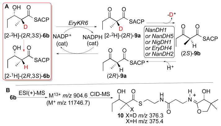 Scheme 2