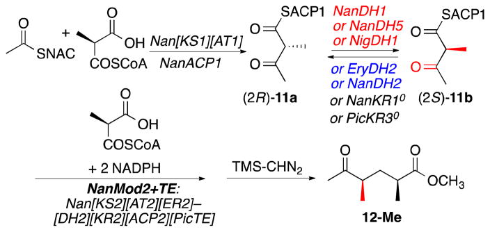 Scheme 3