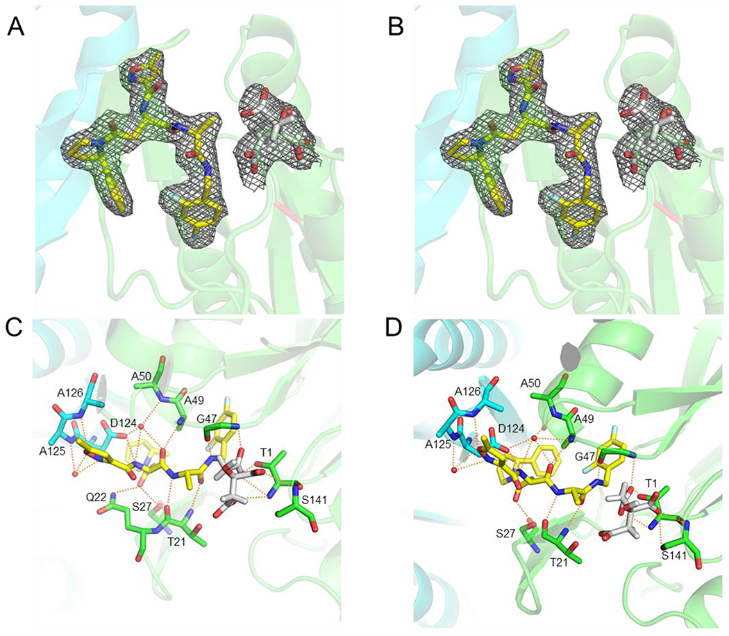 Figure 4.