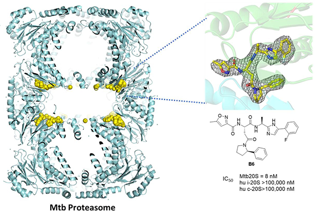 graphic file with name nihms-1576710-f0009.jpg