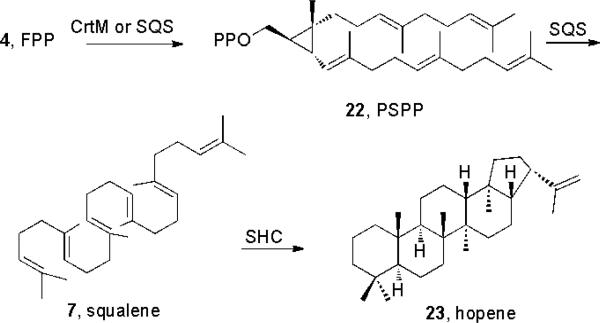 Scheme 4