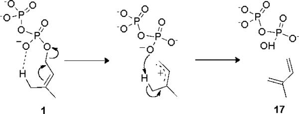 Scheme 6