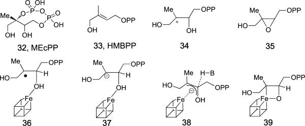 Scheme 8