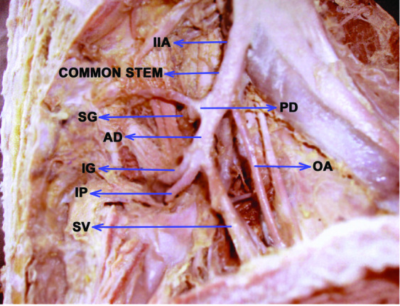 [Table/Fig-2]: