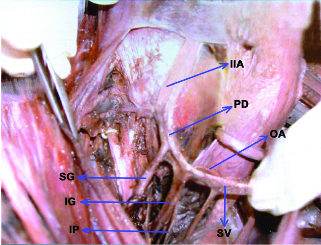 [Table/Fig-4]: