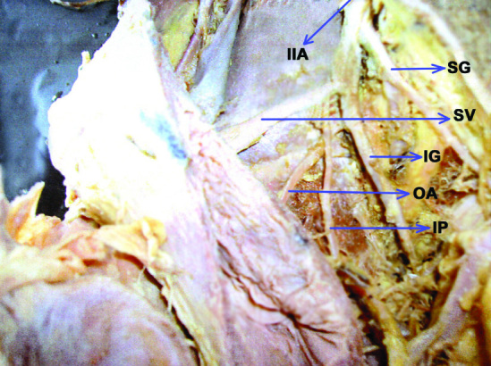 [Table/Fig-6]: