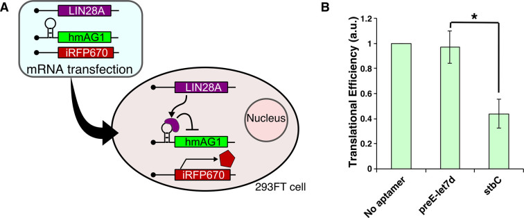 Figure 6.