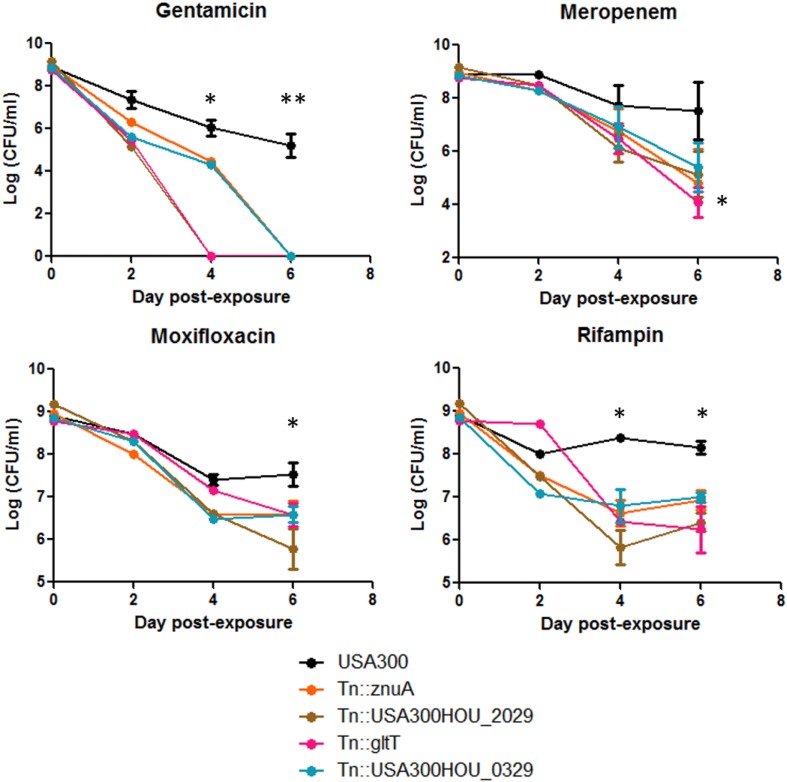 FIGURE 3