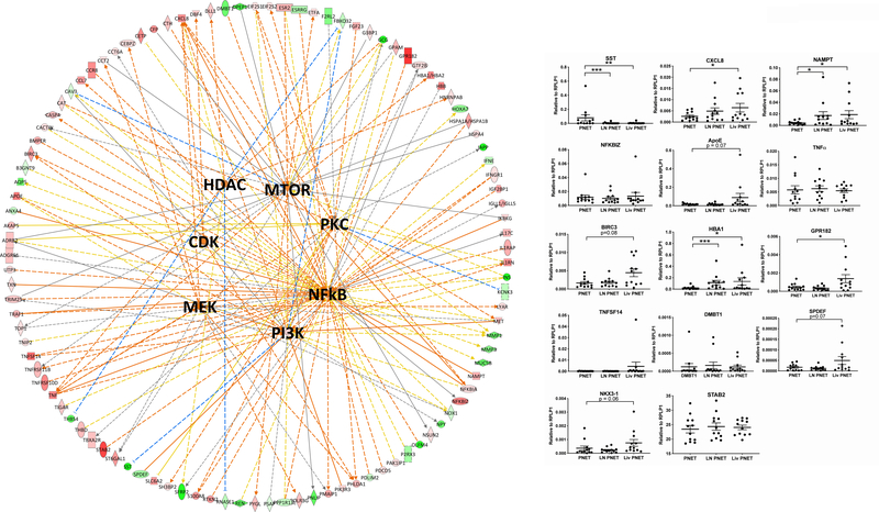 Figure 4: