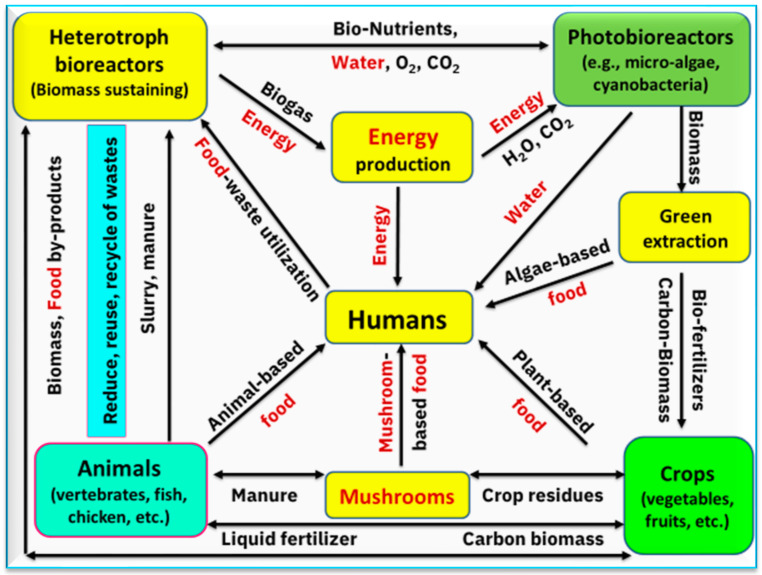 Figure 11