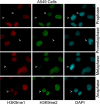 FIGURE 3.