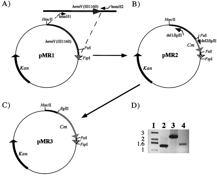 FIG. 1