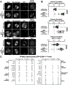 Fig. 2: