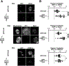 Extended Data Fig. 1