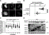 Extended Data Fig. 8