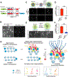 Fig. 6: