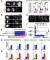 Fig. 4: